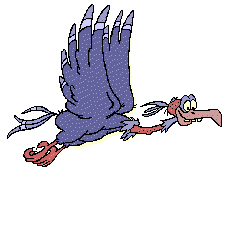 Gif animé vautour vole